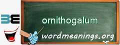 WordMeaning blackboard for ornithogalum